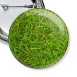 Зеленая трава