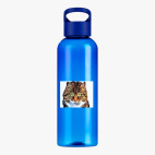 Прозрачная спортивная бутылка