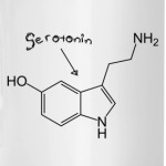 Sertonin