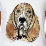 Собака - Бассет хаунд