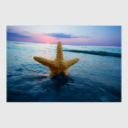 Морская звезда