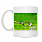 Кружка 330 мл