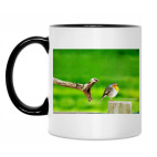 Кружка двухцветная