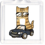 Крутой кот за рулём автомобиля