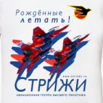   МиГ-29 Стрижи