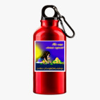 Металлическая бутылка 400 мл UV-DTF