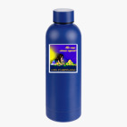 Термобутылка