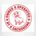 Owned & Operated By Dachshund