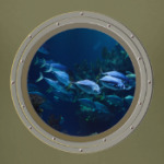 Вид из иллюминатора подводной
