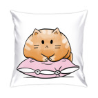 Кот Мягкот, рыжий живот!