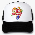 Мой Брат Тигр