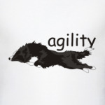 Аджилити