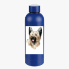 Термобутылка