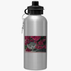 Спортивная бутылка