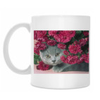 Кружка 330 мл