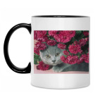 Кружка двухцветная