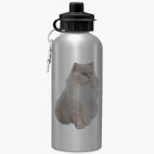 Спортивная бутылка