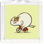 Велокот — Пятничный Котик №46