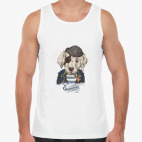 Пиратский собака