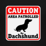 Caution Area Patrolled