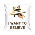 Fox Flying Object