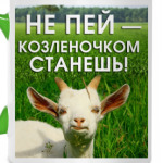 Не пей, козленочком станешь