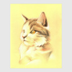 Удивленный кот