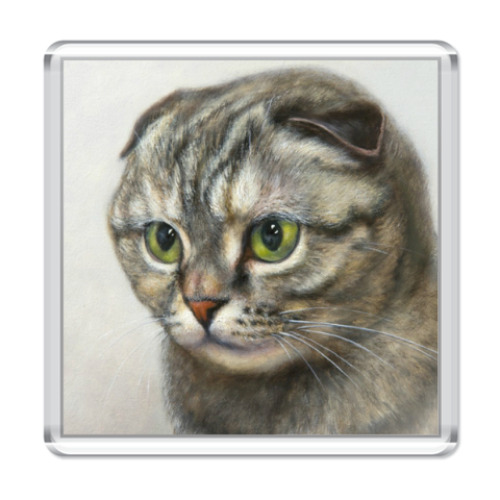 Магнит с принтом Любимец