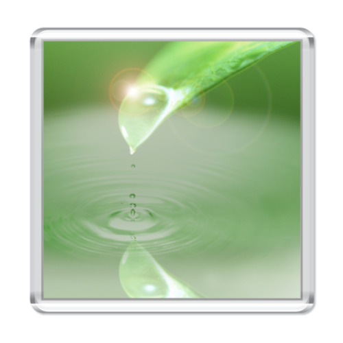 Магнит с принтом ЭКО