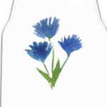 Василек полевой