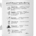 Книга о Хаусе