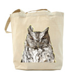 Совы. Совушки. Owl. Owls.