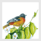 Серия: птицы