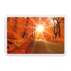 Осень в лесу