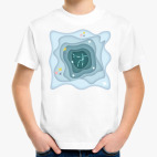 Созвездие Андромеды