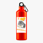 Металлическая бутылка 700 мл UV-DTF