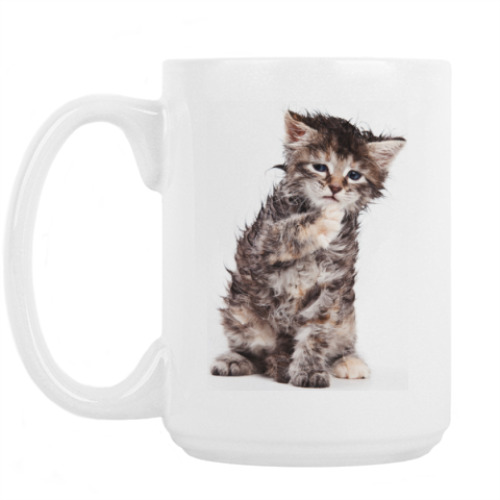 Кружка Кошки и котята
