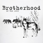 Волки. Brotherhood