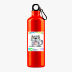 Металлическая бутылка 700 мл UV-DTF