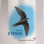 Чёрный стриж