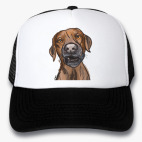 Бродячий пёс