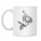 Розы графика