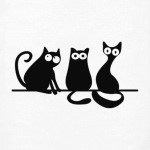 Коты/кошки (cats)