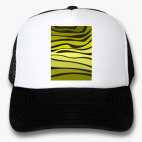 Кепки Trucker