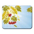 Осенняя пора