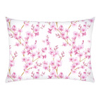 Весенняя сакура цветущая вишня маленькие цветы