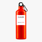 Металлическая бутылка 700 мл UV-DTF