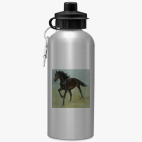 Спортивная бутылка