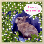 А что это тут у вас?