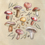 Принт с лесными грибами
